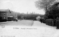 carte postale ancienne de Forest Paysage à Mosselman ( parc Duden)