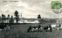 carte postale ancienne de Forest Vue du Bempt