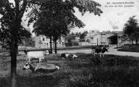 carte postale ancienne de Schaerbeek Un coin du parc Josaphat