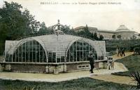 carte postale de Bruxelles Serres de la Victoria Reggia (Jardin Botanique)