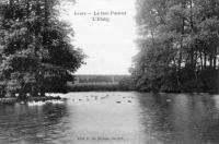 postkaart van Evere Le Bon Pasteur. L'étang.