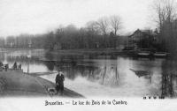 carte postale de Bruxelles Le lac du bois de la Cambre