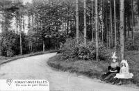 carte postale ancienne de Forest Un coin du parc Duden