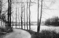 postkaart van Watermaal-Bosvoorde Etang et Panorama