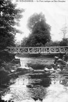 postkaart van Schaarbeek Le pont rustique au Parc Josaphat