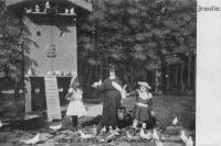 carte postale de Bruxelles Bois de la Cambre - Les pigeons au Chalet Robinson