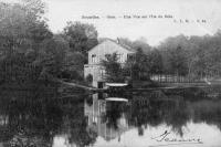 postkaart van Brussel Bois - Une vue sur l'Ile du Bois - Chalet Robinson