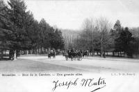 carte postale ancienne de Ixelles Bois de la Cambre - Une grande allée