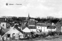 carte postale ancienne de Forest Panorama