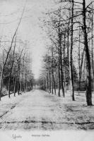 carte postale ancienne de Uccle Avenue De fré