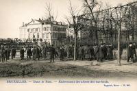 postkaart van Brussel Dans le parc - enlèvement des arbres des bas-fonds postkaart van Brussel Dans le parc - enlèvement des arbres des bas-fonds