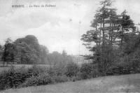carte postale ancienne de Wisbecq Le parc du château