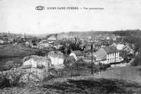 postkaart van Court-Saint-Etienne Vue panoramique