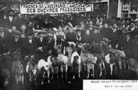 postkaart van Celles-en-Hainaut Concours fédéral Caprin