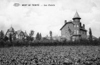carte postale ancienne de Mont-Saint-Aubert Mont de TrinitÃ© - Les chÃ¢lets