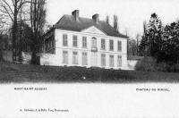 carte postale ancienne de Mont-Saint-Aubert Château du Rinval