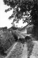 carte postale ancienne de Mont-Saint-Aubert Par le sentier de la folie