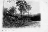 carte postale ancienne de Mont-Saint-Aubert Bois Mont-Saint-Aubert