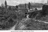 carte postale ancienne de Mont-Saint-Aubert Trieu des Veau