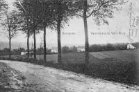 carte postale ancienne de Bomerée Panorama du Vert-Bois