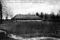 postkaart van Edingen Parc du duc d'Aremberg - La bergerie Lemercier