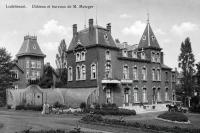 postkaart van Lodelinsart&nbsp;Château et bureaux de M. Metzger