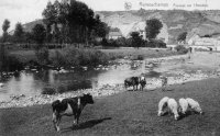 carte postale ancienne de Remouchamps Paysage sur l'Amblève,