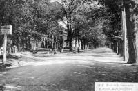 carte postale ancienne de Spa Route de la Sauvenière et Avenue du Prince Albert