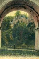 carte postale ancienne de Remouchamps Château de Montjardin - Une arche du pont
