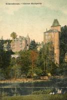 carte postale ancienne de Remouchamps Château Montjardin