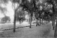 carte postale ancienne de Huy Promenade de l'île