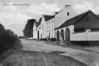 carte postale ancienne de Oleye Chemin de Nivelle