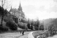 carte postale ancienne de Trooz Château des Roches