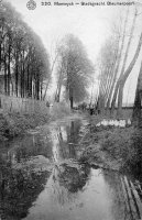 postkaart van Maaseik Stadsgracht - Bleumerpoort