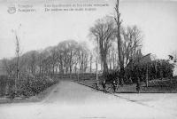 postkaart van Tongeren Les boulevards et les vieux remparts