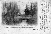 carte postale ancienne de Bree La source d'eau minérale ferrigineuse au Booneput