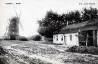 postkaart van Overpelt Moulin