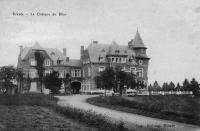 carte postale ancienne de Erezée Le Château de Blier