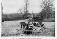 carte postale ancienne de Daverdisse Lavoir du centre