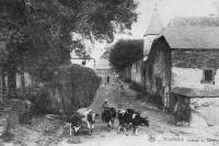 carte postale ancienne de Houffalize Château de Tavigny