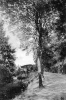 carte postale ancienne de Durbuy Promenade des Veaux