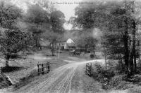 carte postale ancienne de Tenneville Laneuville-au-Bois