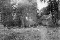 carte postale ancienne de Marcourt Le vieux moulin