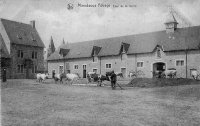 carte postale ancienne de Maredsous Cour de la ferme de l'Abbaye