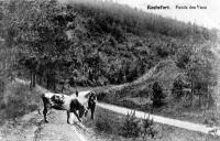 carte postale ancienne de Rochefort Fonds des Vaux