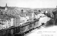 postkaart van Namen La Sambre vue de la citadelle