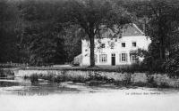 carte postale ancienne de Han-sur-Lesse Le château des grottes