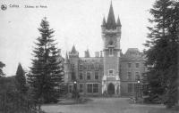 carte postale ancienne de Celles Château de Noisy