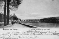 carte postale de Namur Le pont de Jambes vue de la Plante