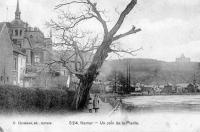 carte postale de Namur Un coin de la Plante